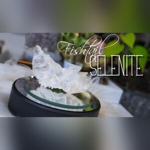 Rare Fishtail Selenite Crystal Slab